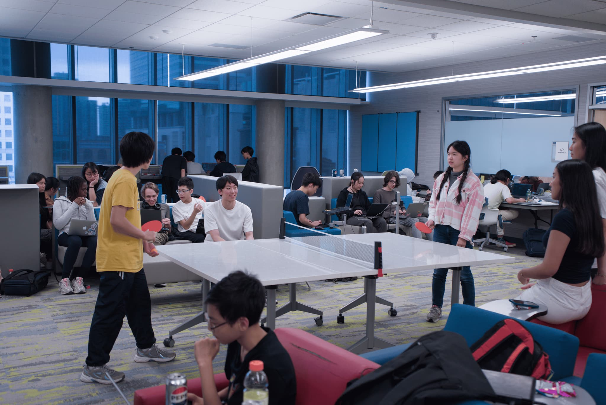 bcydc project preview